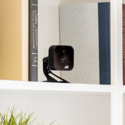 Modesto indoor security camera